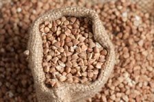 buckwheat groats