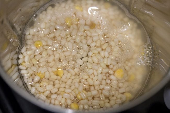 lentils added to grinder jar