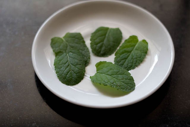 mint leaves on a white plate