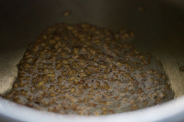 cumin seeds spluttering in oil in a pressure cooker