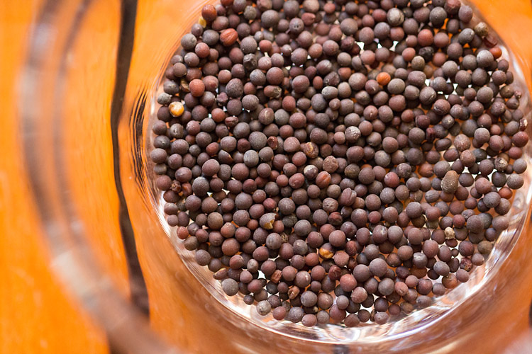 mustard seeds in a bowl