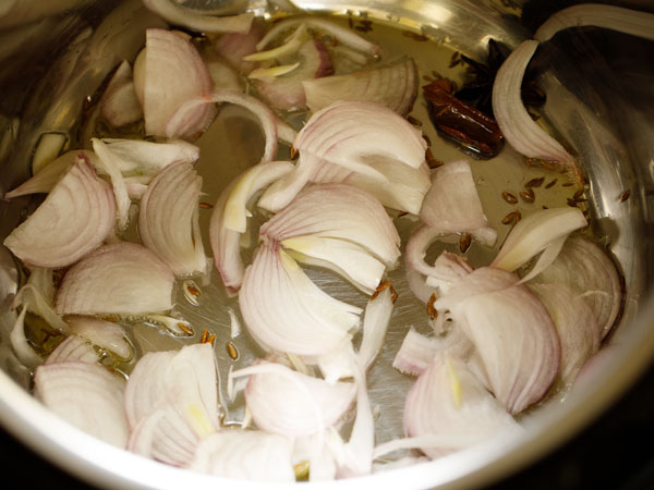 adding thinly sliced onions in instant pot
