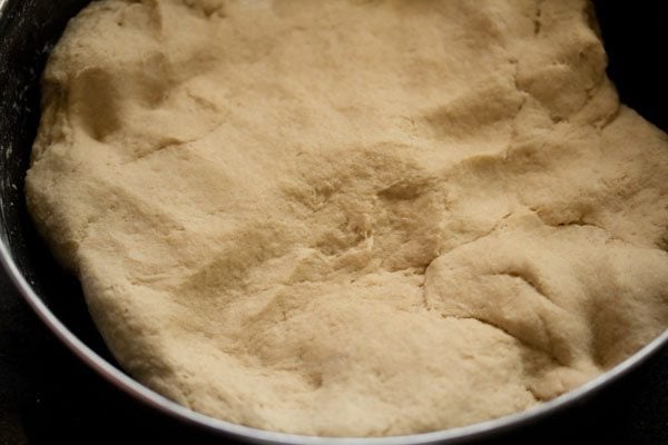 kneaded dough in the bowl