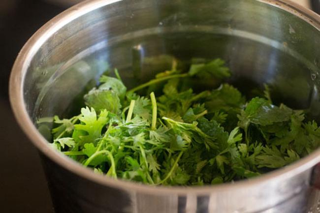 mint and coriander leaves in a blender