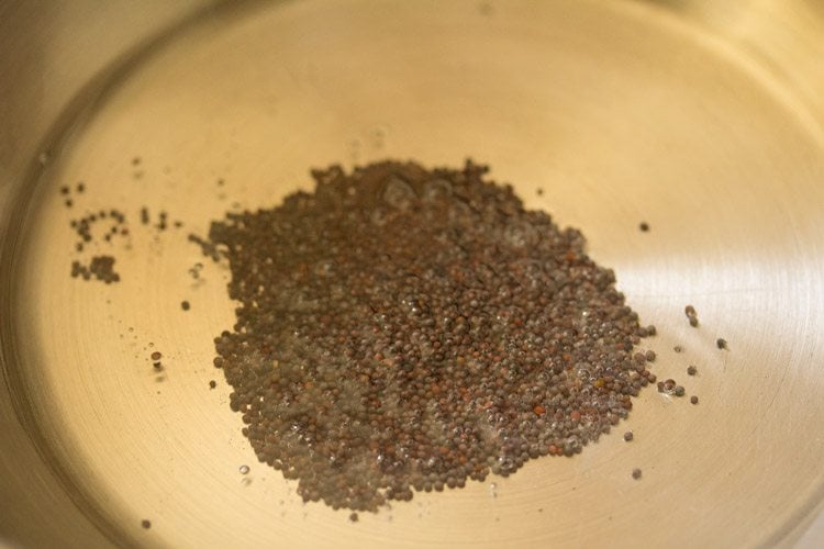 crackling mustard seeds in hot coconut oil