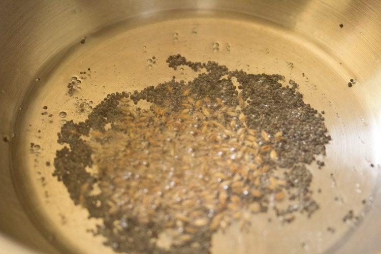 spluttering cumin seeds in hot coconut oil