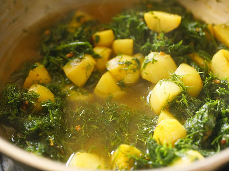 adding water to dill leaves