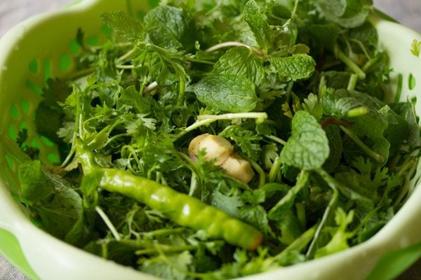 herbs in a bowl