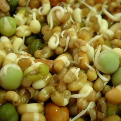 How to make Mixed Bean Sprouts at Home