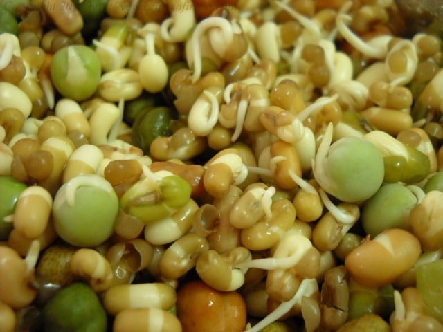 mixed bean sprouts method