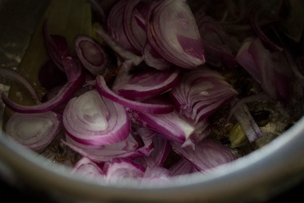 sliced onions added