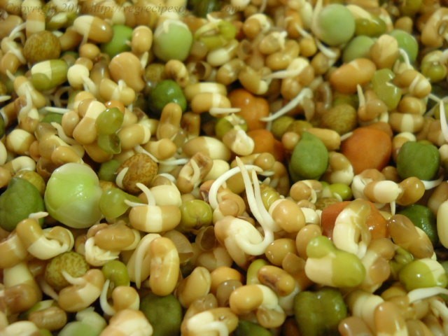 mixed bean sprouts at home. 