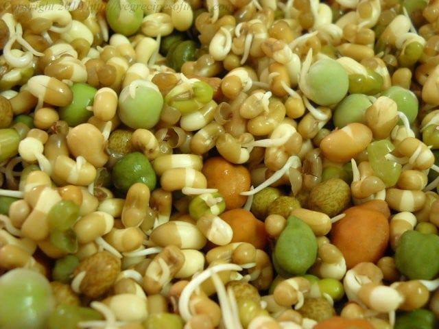 mixed bean sprouts
