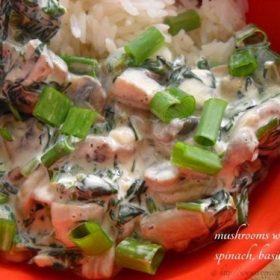 mushroom and spinach cream sauce recipe