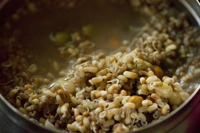 cooked sprouted beans with water