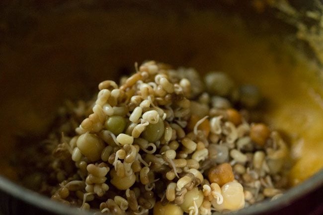 boiled sprouts added to paste