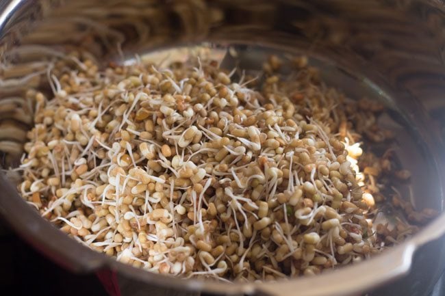 moth bean sprouts added to pressure cooker