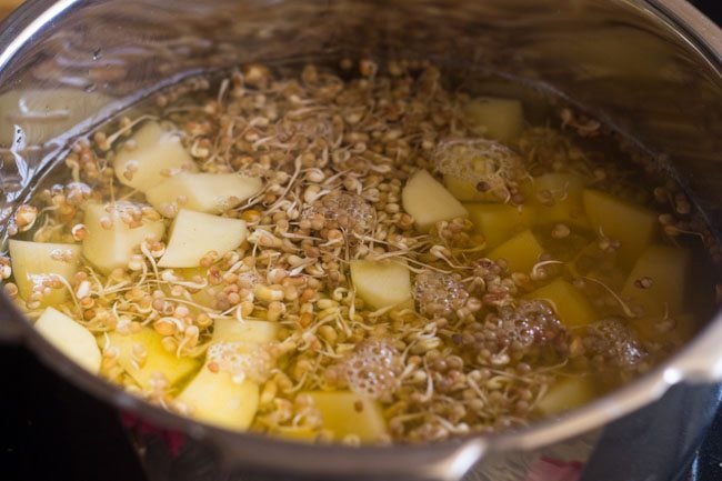 water added to pressure cooker with sprouts