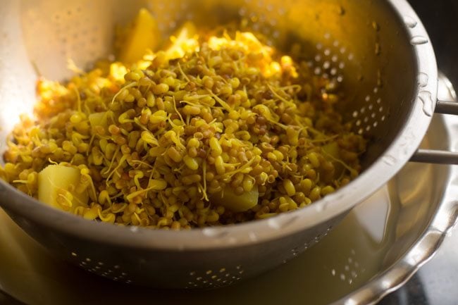 draining water from cooked sprouts using a colander