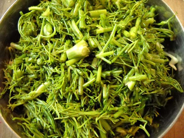 chopped dill leaves for russian borscht soup recipe