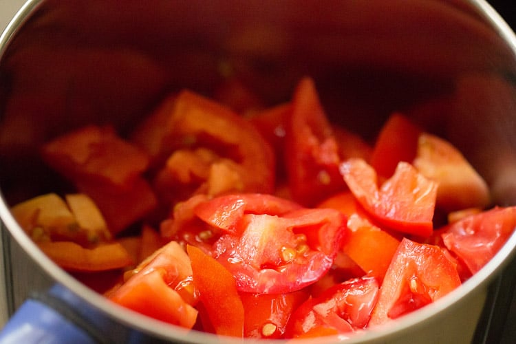 chopped tomatoes in a grinder jar