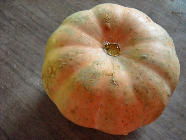 kaddu or pumpkin on a wooden board