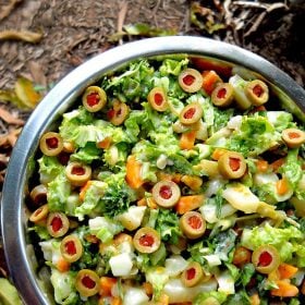 spanish salad, vegetarian spanish salad, eggless spanish salad recipe