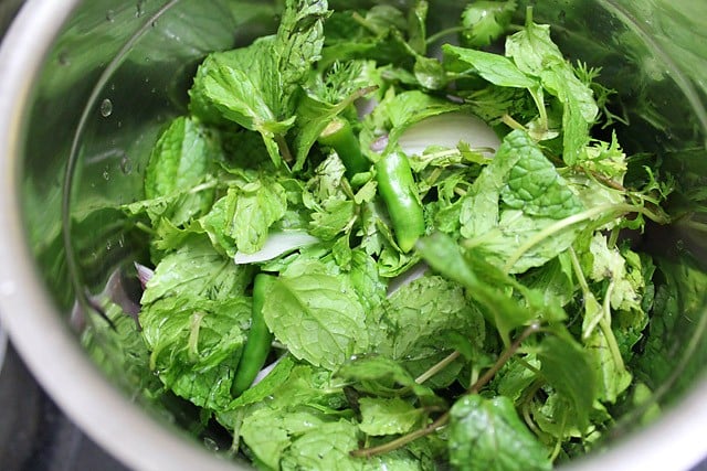 herbs and onions added to grinder jar