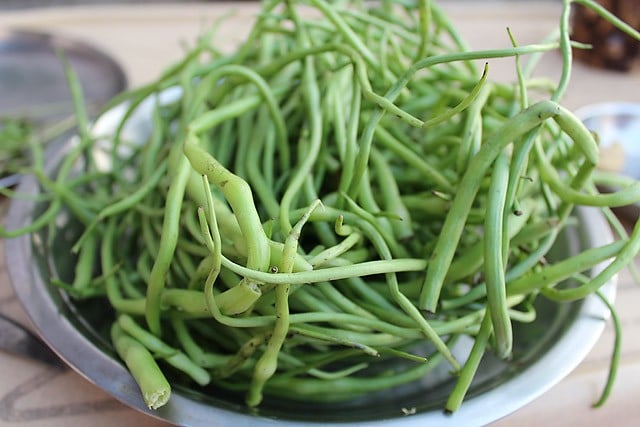 fresh radish pods on a plate. 