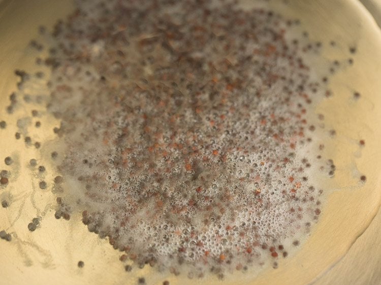 mustard seeds added to hot oil
