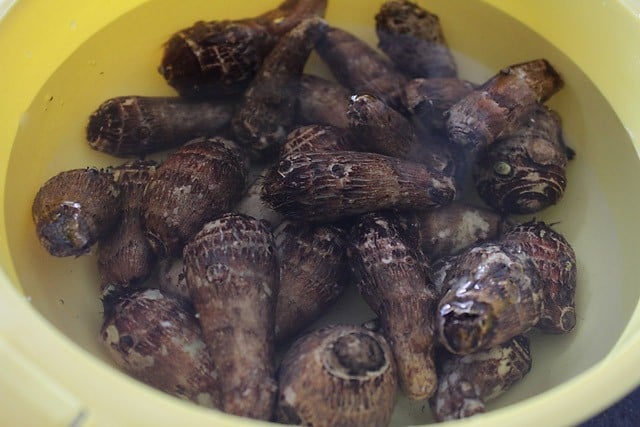 uncooked arbi in a bowl of water. 