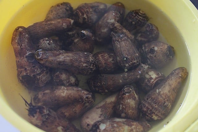 microwaved arbi in the bowl of water. 