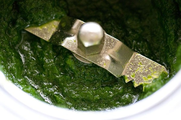 grinded coriander chutney in the grinder jar for bombay sandwich.