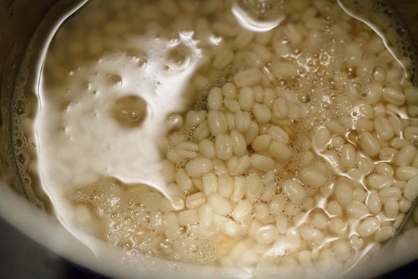 urad dal in a wet grinder jar