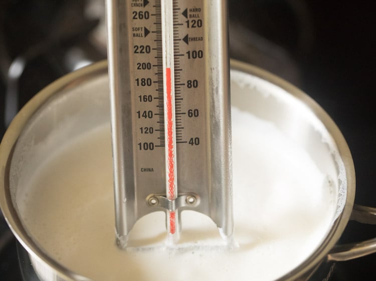 measuring milk temperature with a thermometer for dahi recipe.. 