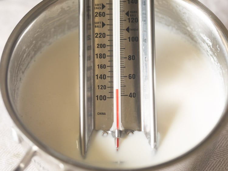 checking milk temperature using a food thermometer for dahi recipe.. 