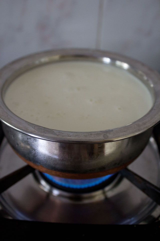 how to make curd at home method to make dahi or thick curd from milk