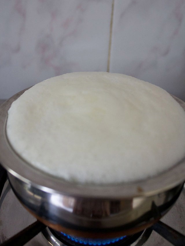 how to make curd at home method to make dahi or thick curd from milk