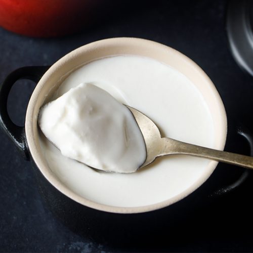 increase metabolism yogurt