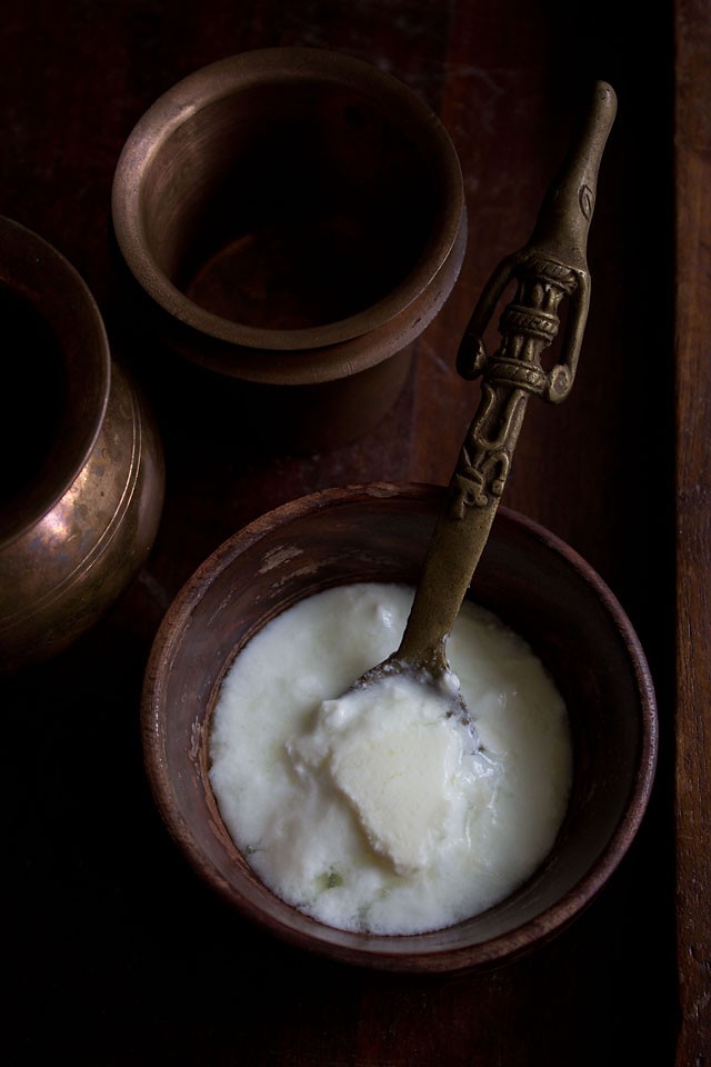milk with yogurt make or dahi curd or yogurt homemade   curd recipe how to