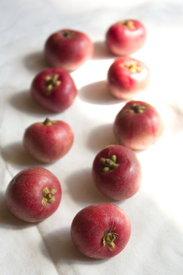 fresh kokum fruit on a white napkin.