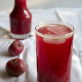 kokum-sherbet-easy