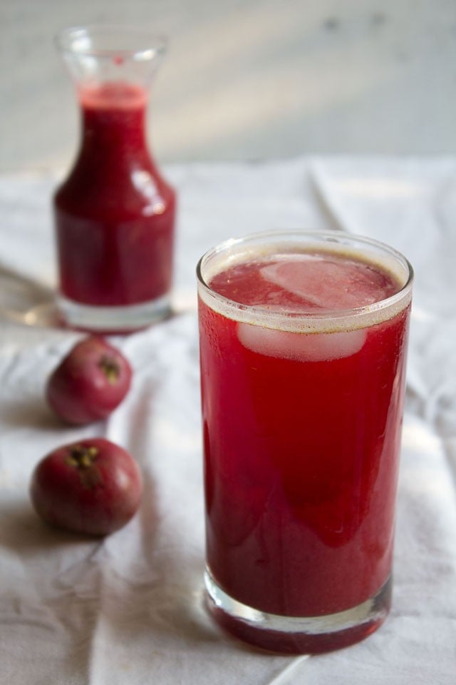 kokum-sherbet-easy