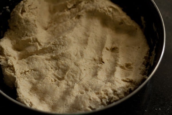 kneaded dough in a bowl