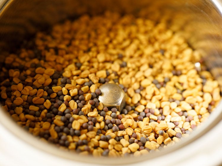 fenugreek seeds and mustard seeds in a grinder jar