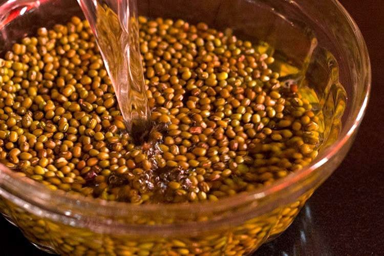 rinsing green moong beans