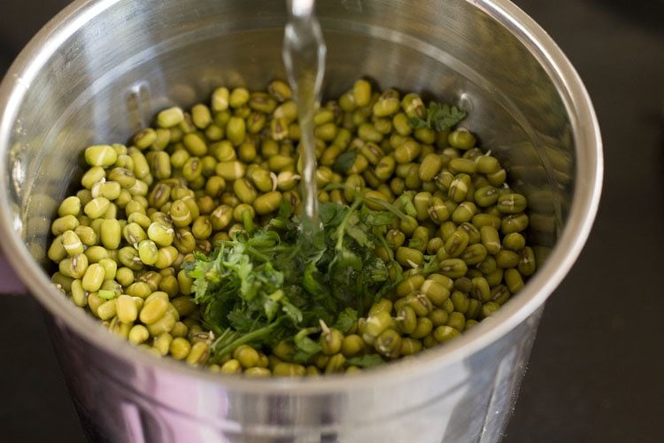 adding water to blender jar filled with soaked moong and cilantro