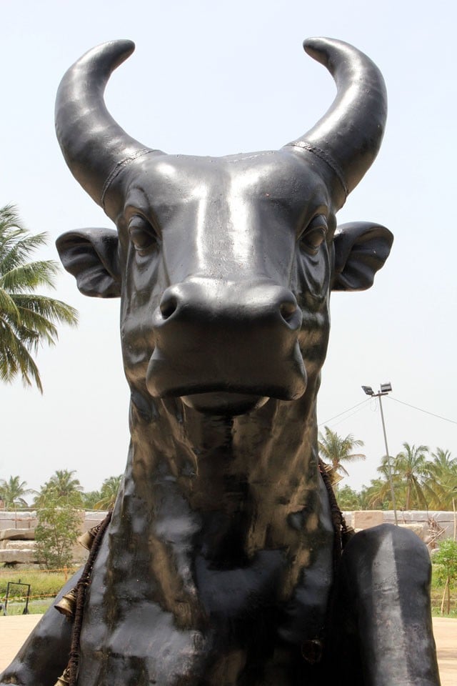nandi-the-bull