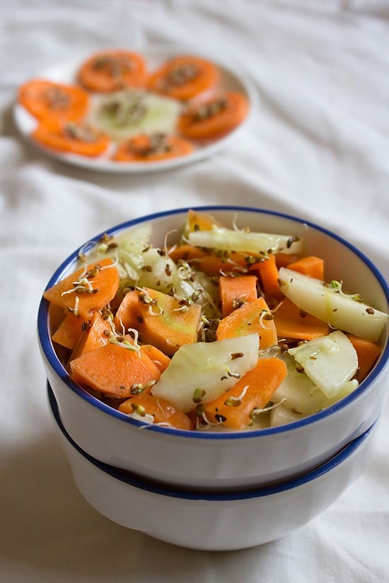 alfalfa sprouts on salad in a white bowl.