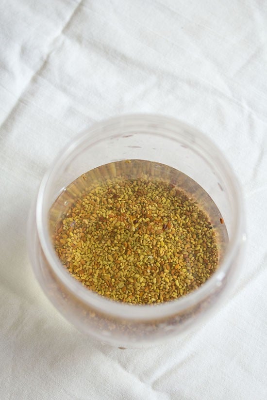 rinsed alfalfa seeds soaking with water